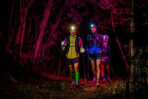 BIB: 
                            <button type="button" onclick="openModal(7017914)" class="btn btn-primary btn-sm float-right btn-popup" data-toggle="modal" data-target=".modal-high-quality">
                        <i class="fas fa-shopping-cart"></i> Add to Cart
                    </button>
                                            <button type="button" onclick="isThisMe(7017914, true)" class="btn btn-success btn-sm float-right btn-popup btn-isme hidden" data-toggle="tooltip" data-placement="bottom" title="นี่คือรูปของคุณใช่ไหม คลิกที่นี่เพื่อเอาเข้าอัลบั้ม">
                        <i class="fas fa-plus"></i> Add to album
                    </button>
                    <button type="button" onclick="isThisMe(7017914, false)" class="btn btn-warning btn-sm float-right btn-popup btn-isnotme hidden">
                        <i class="fas fa-ban"></i> Remove from album
                    </button>